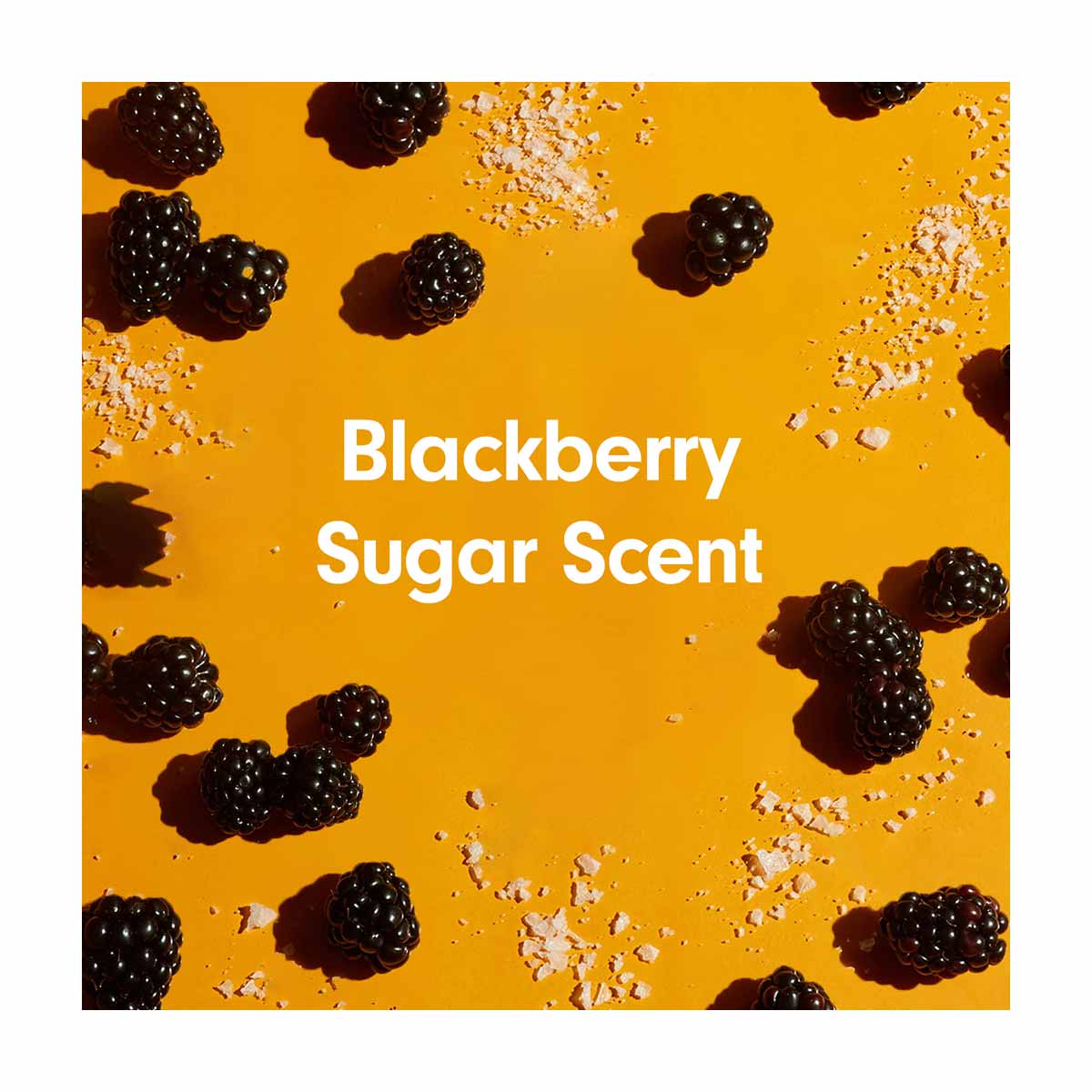 Softsoap Body Blackberry Sugar Exfoliating Body Wash, 20 oz