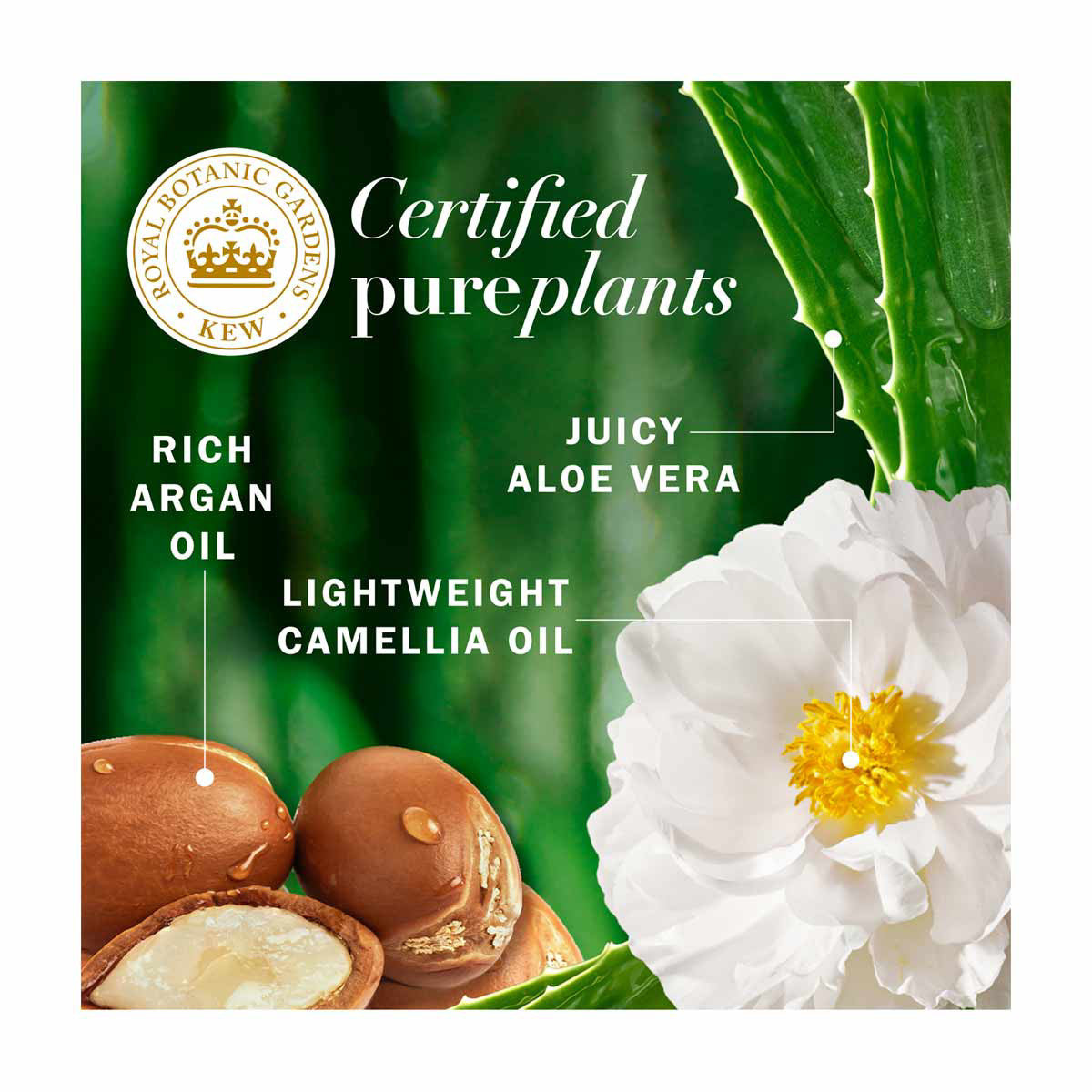 Herbal Essences Argan Oil Repair Shampoo, 13.5 fl oz