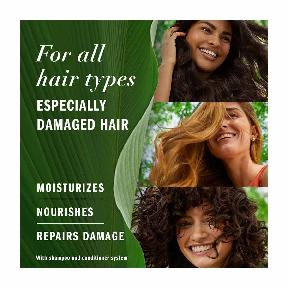 Herbal Essences Argan Oil Repair Shampoo, 13.5 fl oz