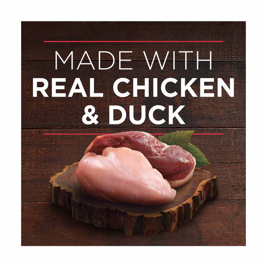 Purina ONE True Instinct Tender Cuts In Gravy With Real Chicken and Duck Wet Dog Food, 13 oz can