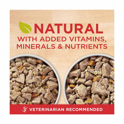 Purina ONE Tender Cuts in Gravy Chicken and Brown Rice, and Beef and Barley Entrees Wet Dog Food Variety Pack, 13 oz cans - 6 ct