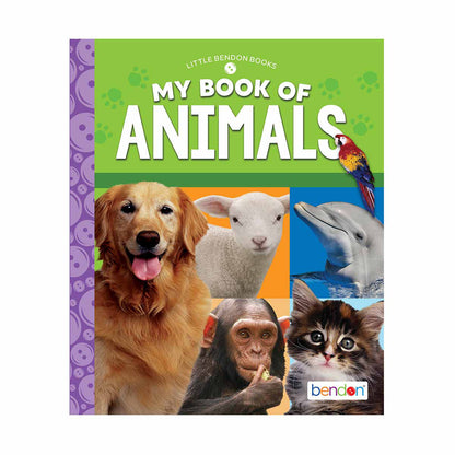 Bendon Coloring and Activity Book, Assorted