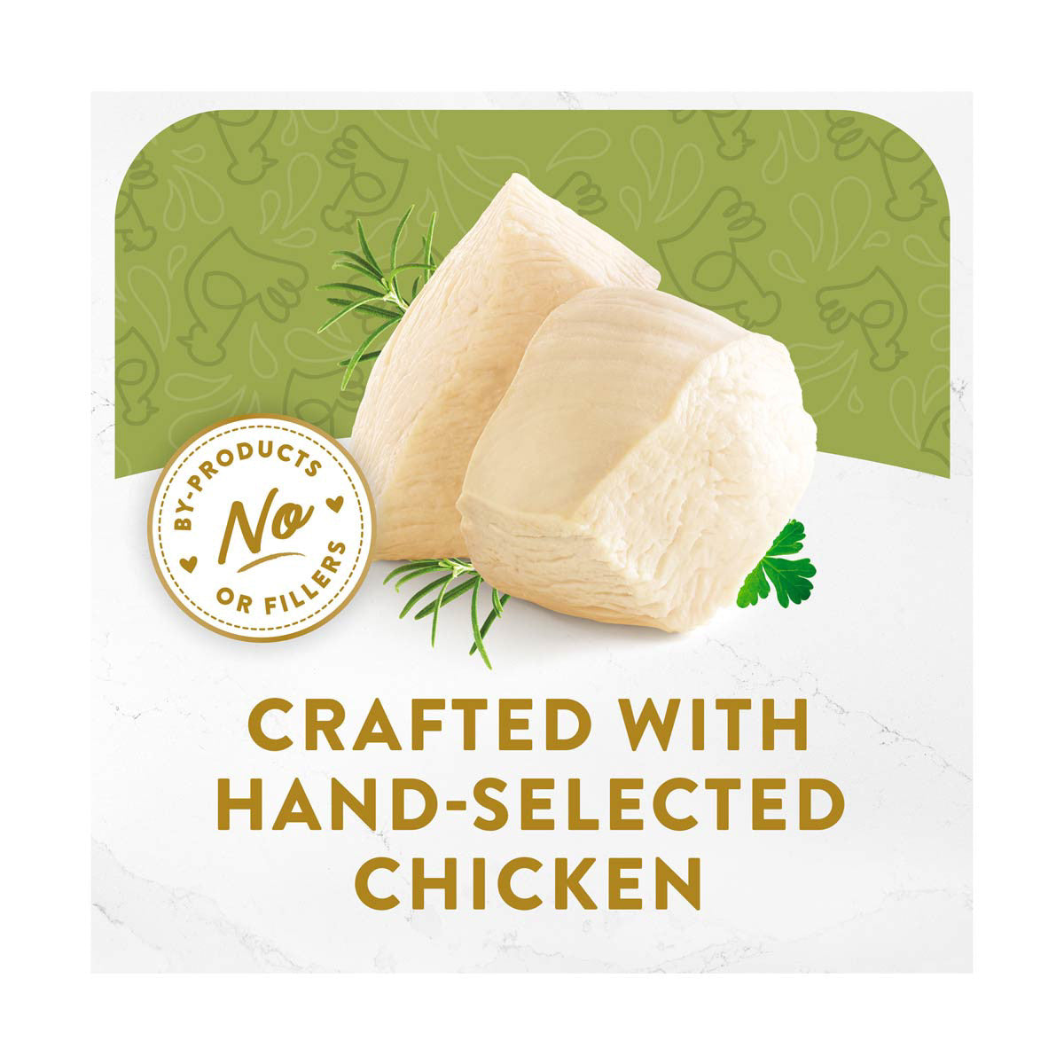 Fancy Feast Appetizers White Meat Chicken in a Savory Tuna Broth Wet Cat Food Complement, 1.1 oz