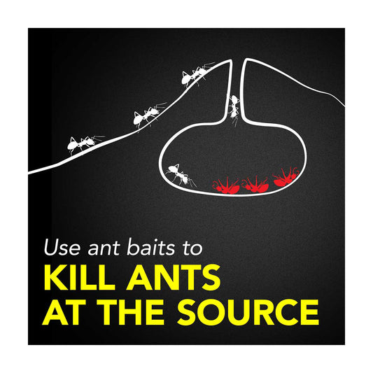 Raid Ant Baits III, 4 ct