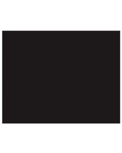 ArtSkills Poster Board Black, 22" x 28"