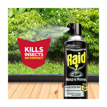 Raid Wasp & Hornet Killer 33, Insect Spray, 17.5 oz