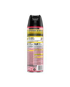 Raid Ant & Roach Killer - Outdoor Fresh Scent, 17.5 oz