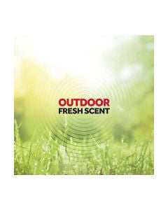 Raid Ant & Roach Killer - Outdoor Fresh Scent, 17.5 oz