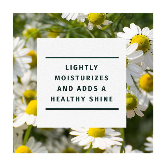 Herbal Essences Chamomile Shine Conditioner, 13.5 fl oz