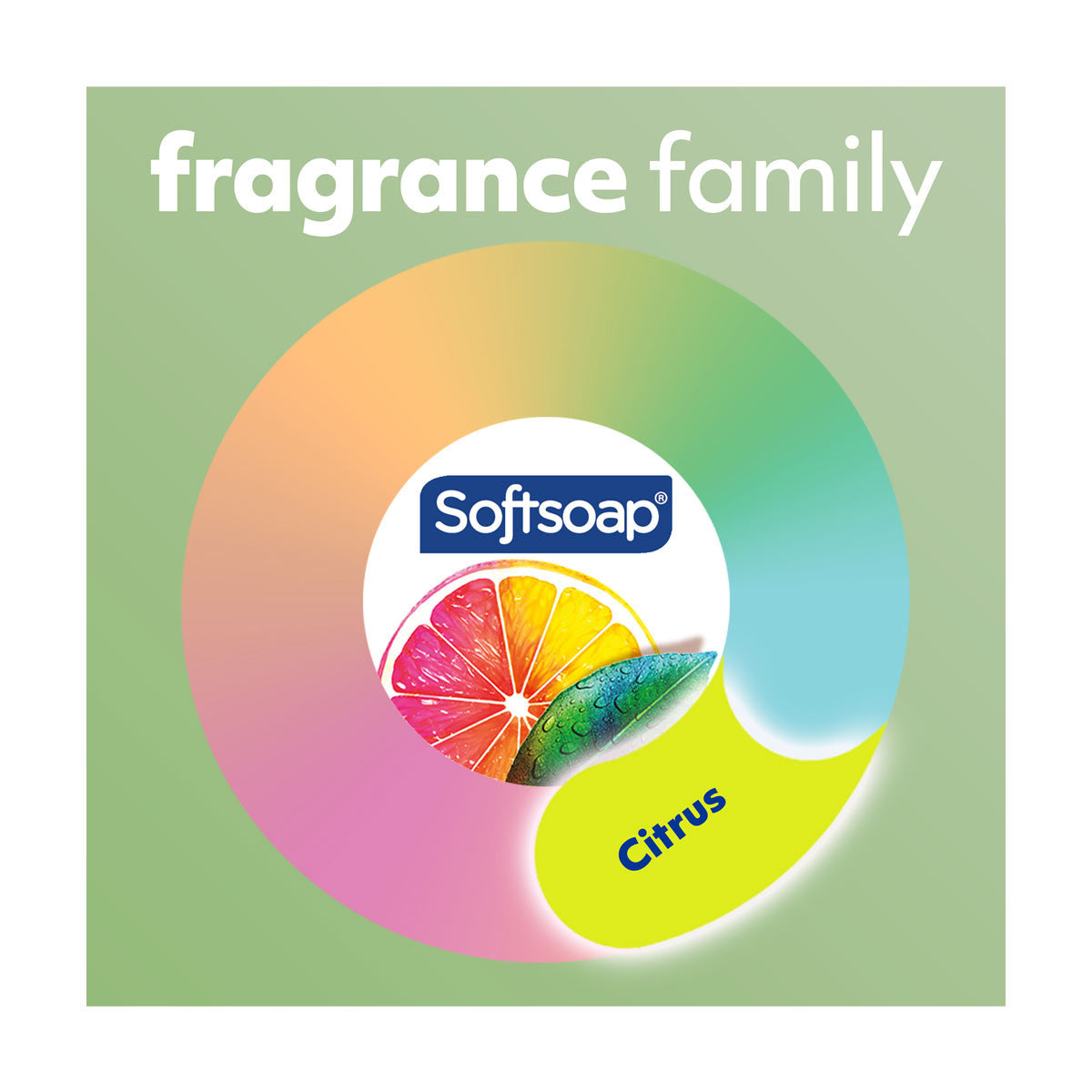 Softsoap Antibacterial Liquid Hand Soap, Fresh Citrus, 11.25 fl oz