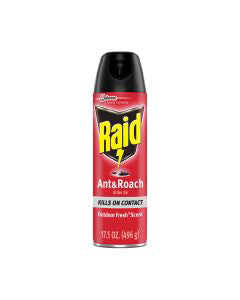 Raid Ant & Roach Killer - Outdoor Fresh Scent, 17.5 oz