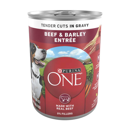 Purina ONE Tender Cuts In Gravy Beef and Barley Entree Wet Dog Food, 13 oz can