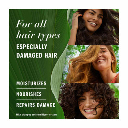 Herbal Essences Argan Oil Repair Shampoo, 13.5 fl oz