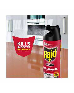 Raid Ant & Roach Killer - Outdoor Fresh Scent, 17.5 oz